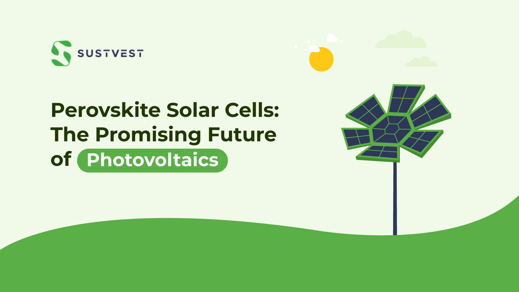 perovskite solar cells