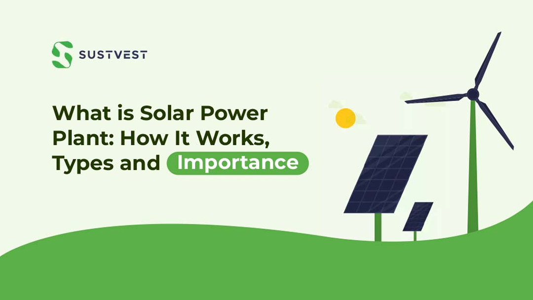 What is Solar Power Plant: How It Works, Types and Importance